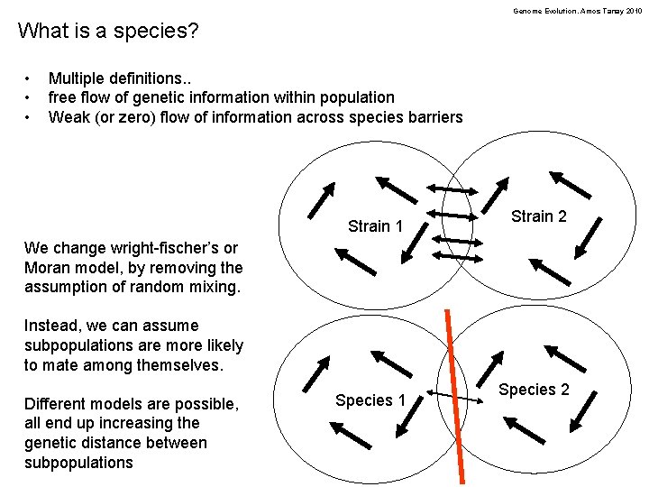 Genome Evolution. Amos Tanay 2010 What is a species? • • • Multiple definitions.