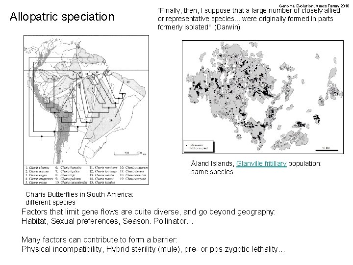 Genome Evolution. Amos Tanay 2010 Allopatric speciation “Finally, then, I suppose that a large