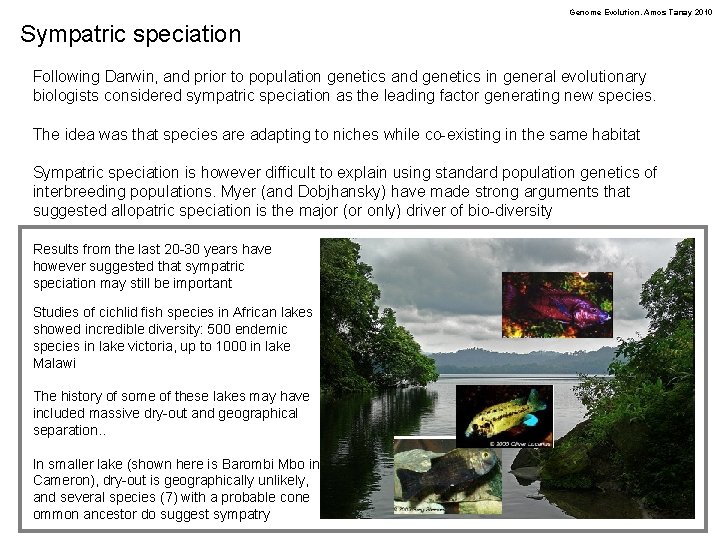 Genome Evolution. Amos Tanay 2010 Sympatric speciation Following Darwin, and prior to population genetics