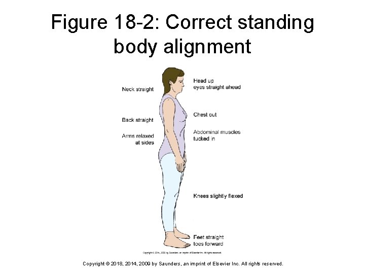 Figure 18 -2: Correct standing body alignment Copyright © 2018, 2014, 2009 by Saunders,