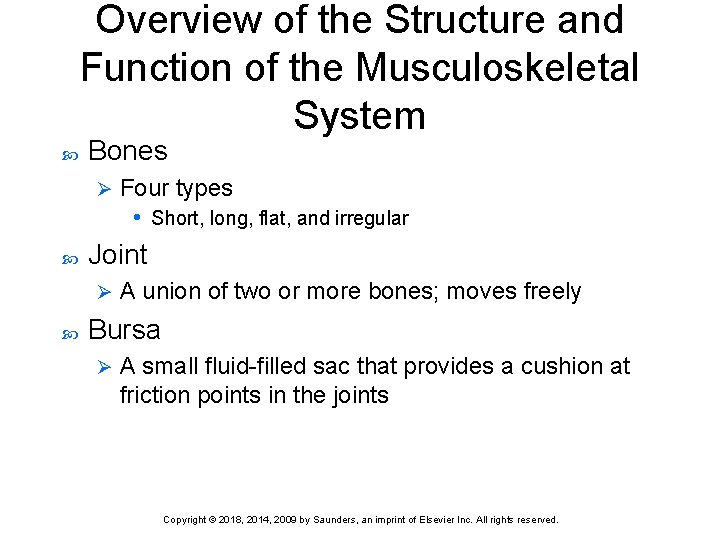 Overview of the Structure and Function of the Musculoskeletal System Bones Ø Joint Ø