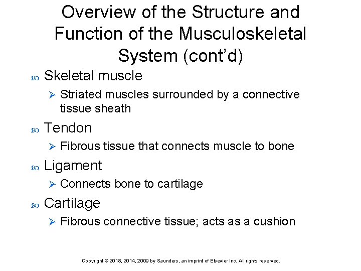 Overview of the Structure and Function of the Musculoskeletal System (cont’d) Skeletal muscle Ø