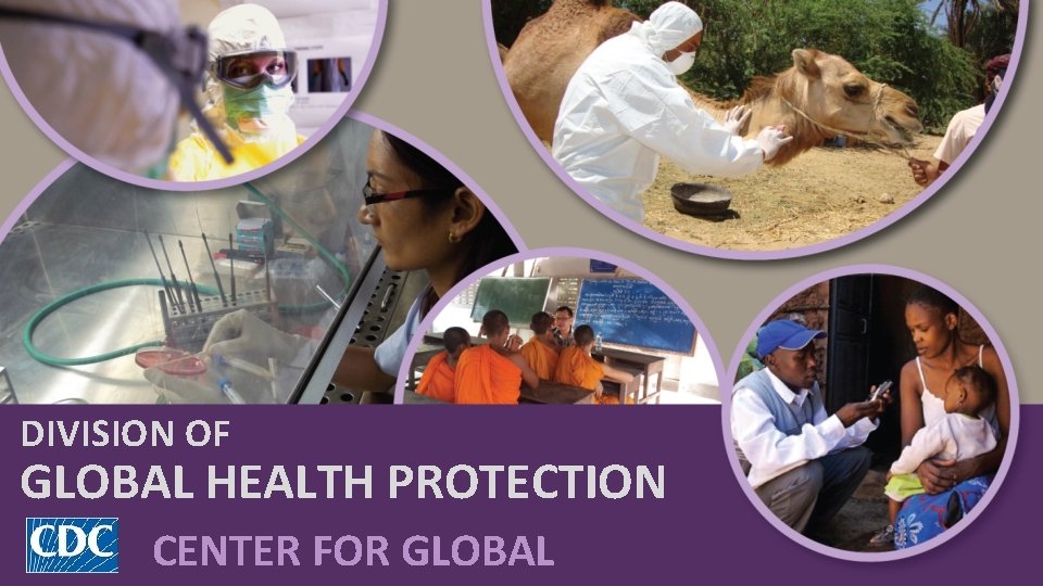 DIVISION OF GLOBAL HEALTH PROTECTION CENTER FOR GLOBAL