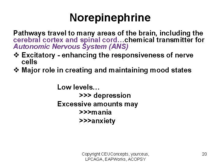 Norepinephrine Pathways travel to many areas of the brain, including the cerebral cortex and