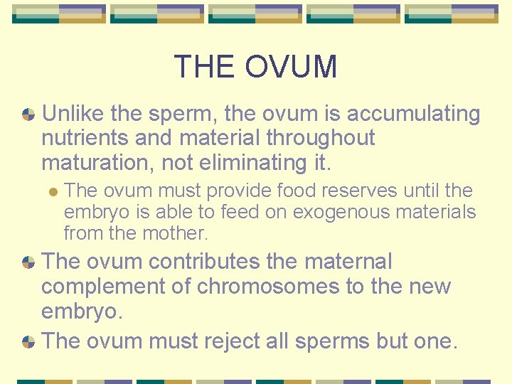THE OVUM Unlike the sperm, the ovum is accumulating nutrients and material throughout maturation,