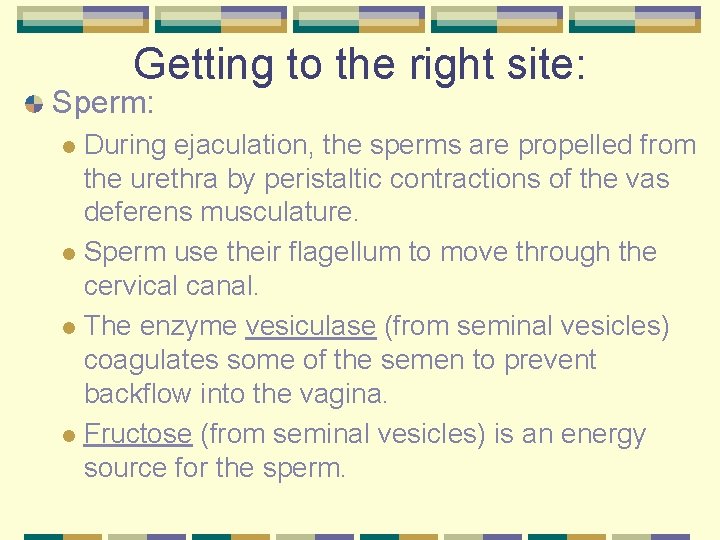 Getting to the right site: Sperm: During ejaculation, the sperms are propelled from the