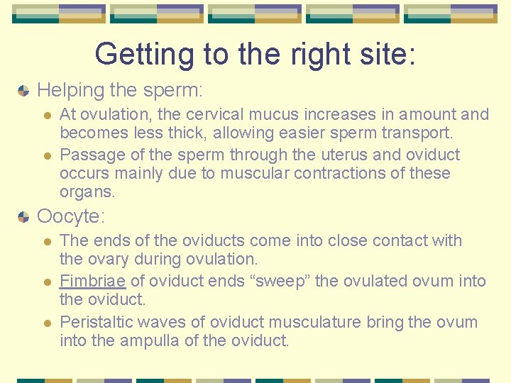 Getting to the right site: Helping the sperm: l l At ovulation, the cervical