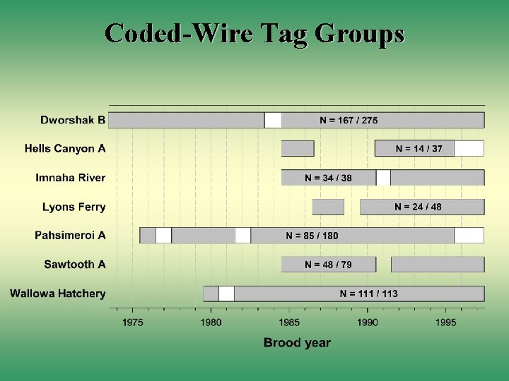 Coded-Wire Tag Groups 