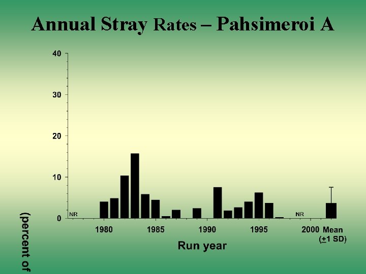 Annual Stray Rates – Pahsimeroi A 