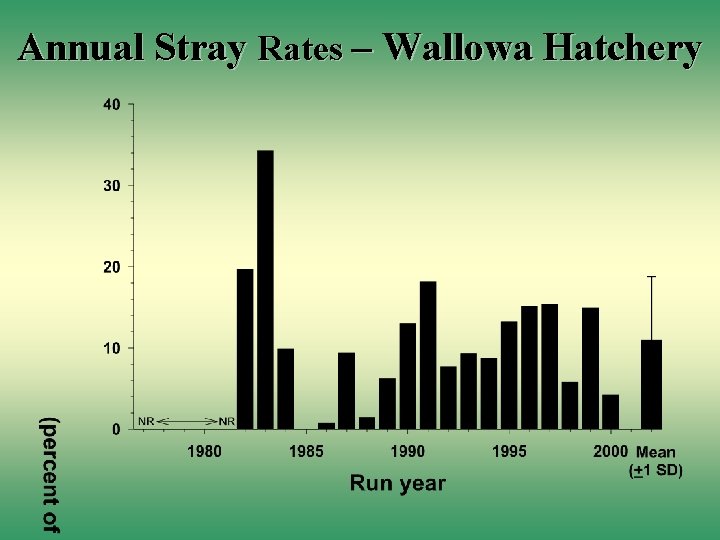 Annual Stray Rates – Wallowa Hatchery 