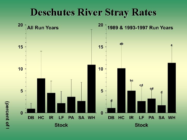 Deschutes River Stray Rates 