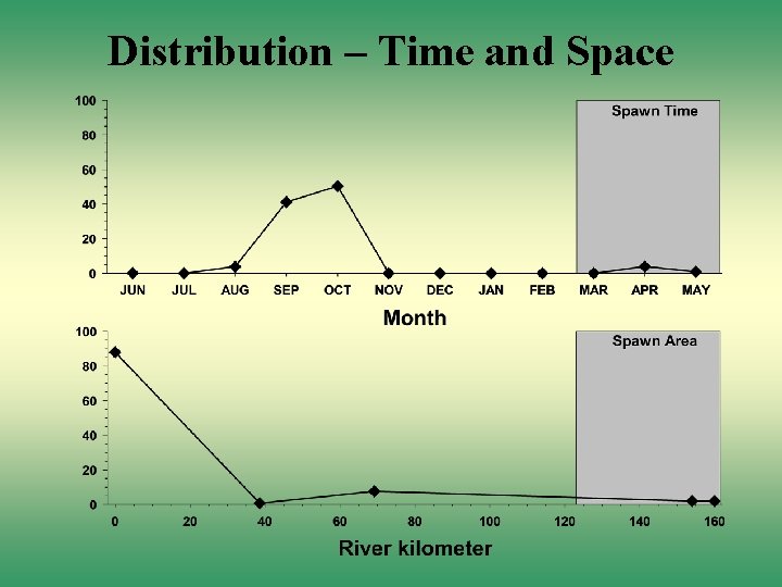 Distribution – Time and Space 