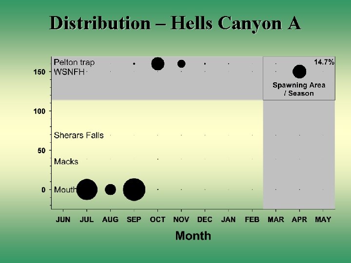 Distribution – Hells Canyon A 