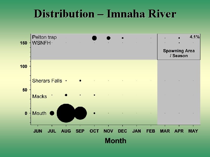 Distribution – Imnaha River 