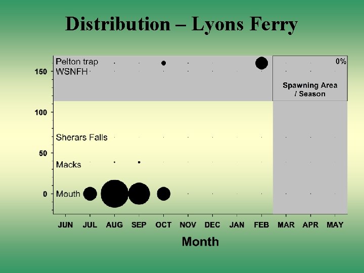 Distribution – Lyons Ferry 