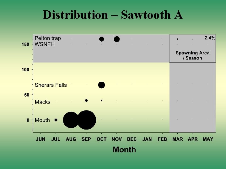 Distribution – Sawtooth A 