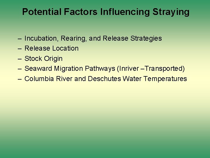 Potential Factors Influencing Straying – – – Incubation, Rearing, and Release Strategies Release Location