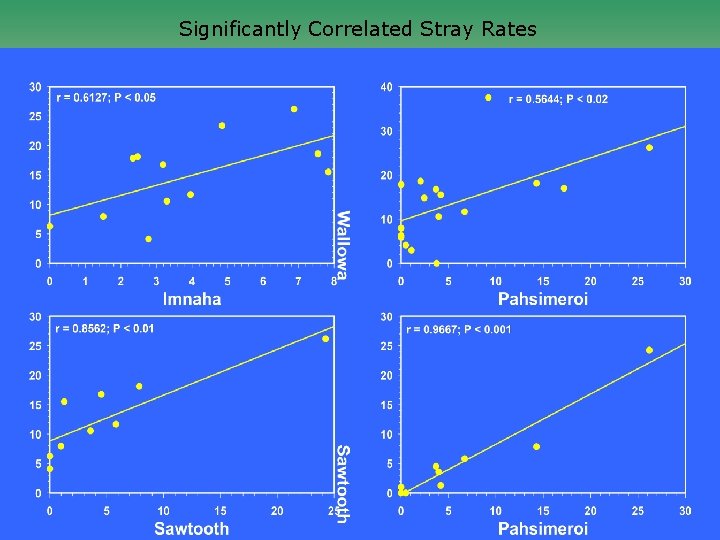 Significantly Correlated Stray Rates 