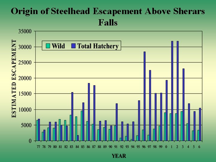 Origin of Steelhead Escapement Above Sherars Falls 