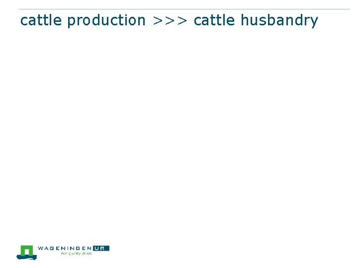 cattle production >>> cattle husbandry 