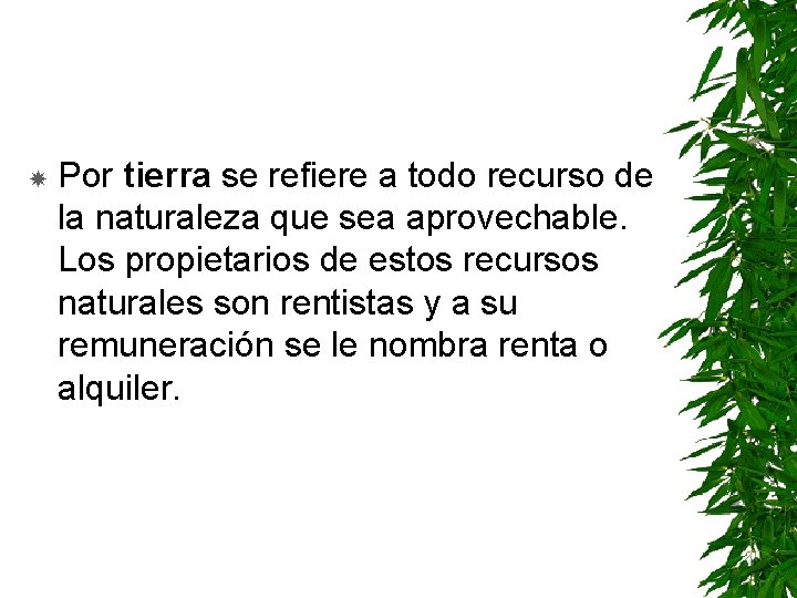  Por tierra se refiere a todo recurso de la naturaleza que sea aprovechable.