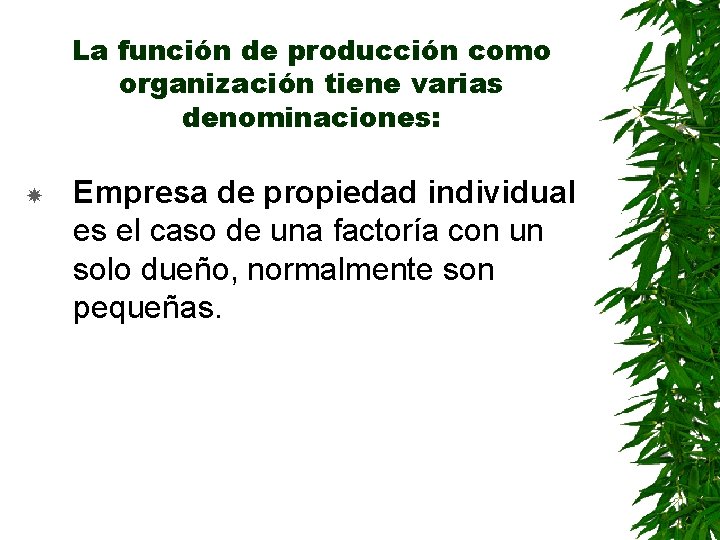 La función de producción como organización tiene varias denominaciones: Empresa de propiedad individual es