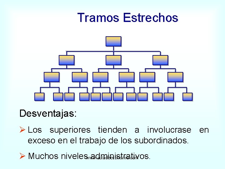 Tramos Estrechos Desventajas: Ø Los superiores tienden a involucrase en exceso en el trabajo