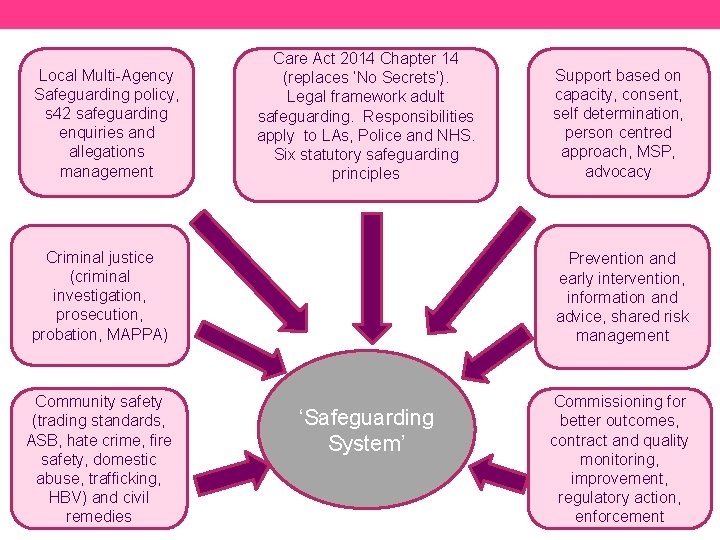 Local Multi-Agency Safeguarding policy, s 42 safeguarding enquiries and allegations management Care Act 2014