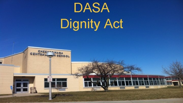 DASA Dignity Act 