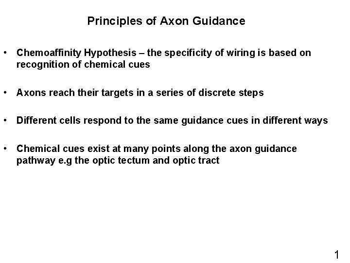 Principles of Axon Guidance • Chemoaffinity Hypothesis – the specificity of wiring is based