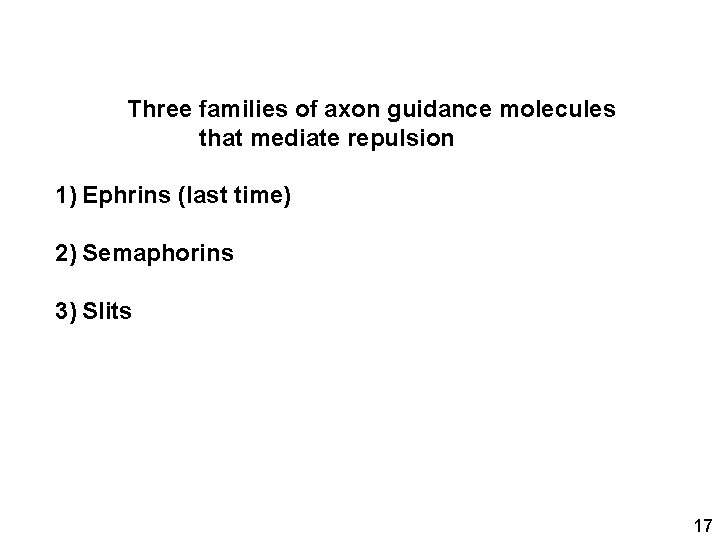 Three families of axon guidance molecules that mediate repulsion 1) Ephrins (last time) 2)