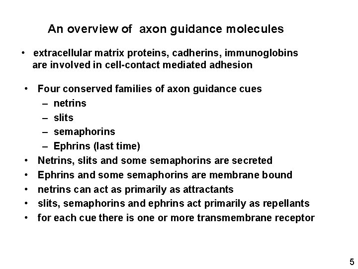 An overview of axon guidance molecules • extracellular matrix proteins, cadherins, immunoglobins are involved