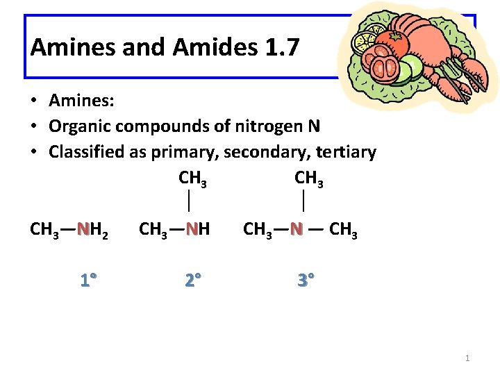 Amines and Amides 1. 7 • Amines: • Organic compounds of nitrogen N •