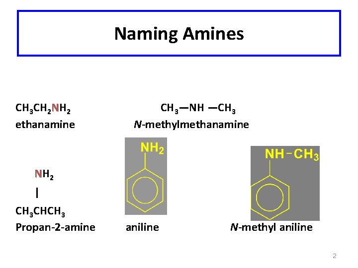 Naming Amines CH 3 CH 2 NH 2 ethanamine CH 3—NH —CH 3 N-methylmethanamine