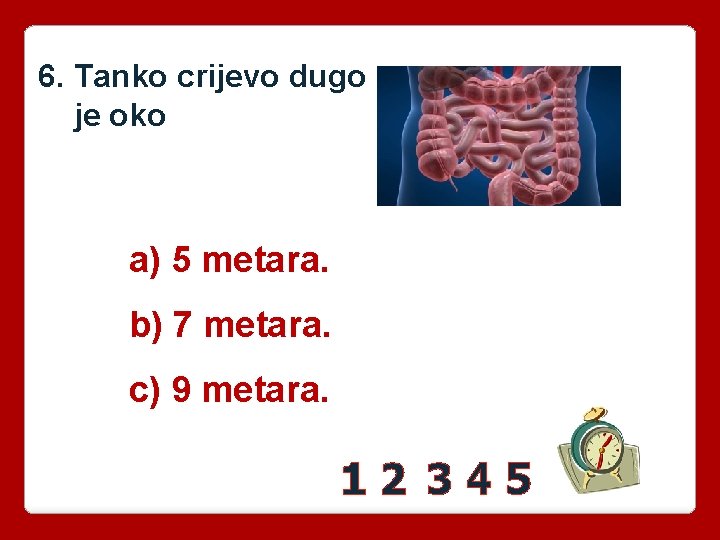 6. Tanko crijevo dugo je oko a) 5 metara. b) 7 metara. c) 9