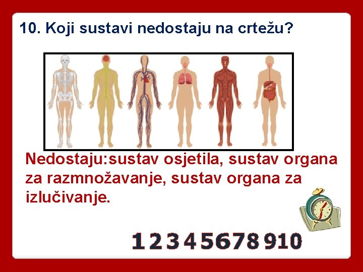 10. Koji sustavi nedostaju na crtežu? Nedostaju: sustav osjetila, sustav organa za razmnožavanje, sustav