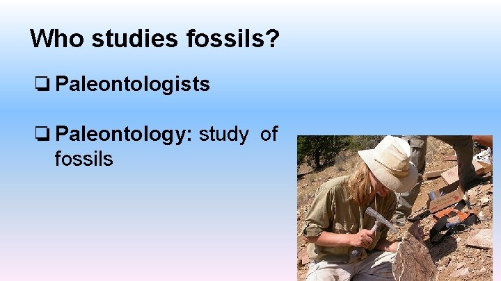 Who studies fossils? ❏ Paleontologists ❏ Paleontology: study of fossils 