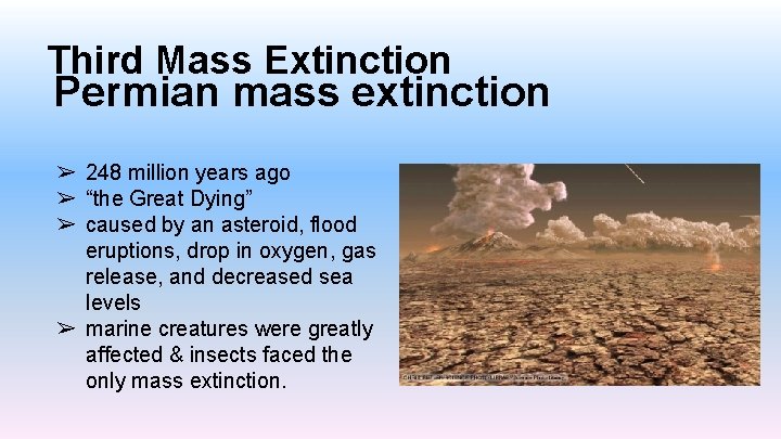Third Mass Extinction Permian mass extinction ➢ 248 million years ago ➢ “the Great