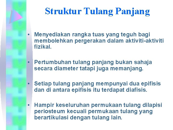 Struktur Tulang Panjang • Menyediakan rangka tuas yang teguh bagi membolehkan pergerakan dalam aktiviti-aktiviti