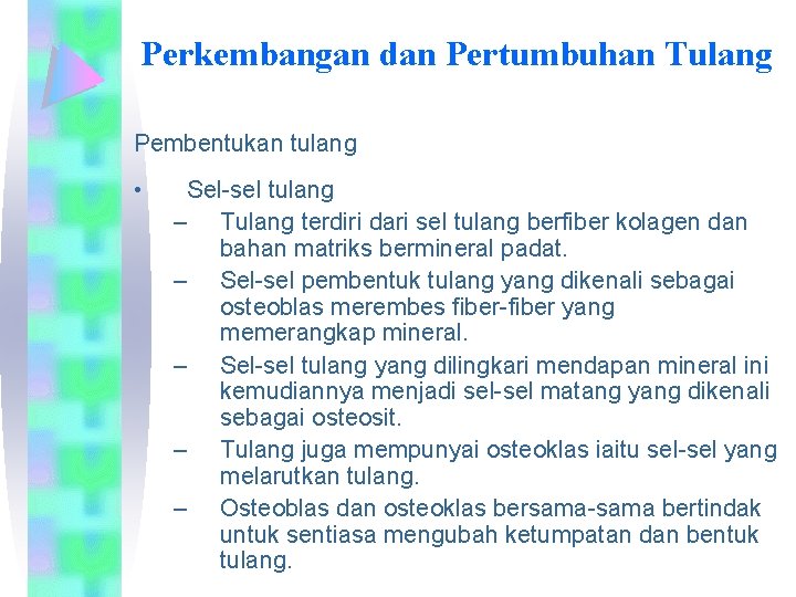 Perkembangan dan Pertumbuhan Tulang Pembentukan tulang • Sel-sel tulang – Tulang terdiri dari sel