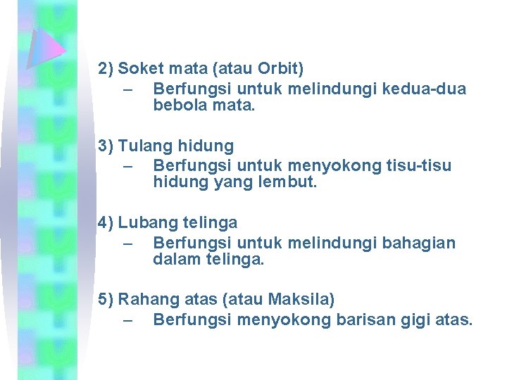 2) Soket mata (atau Orbit) – Berfungsi untuk melindungi kedua-dua bebola mata. 3) Tulang