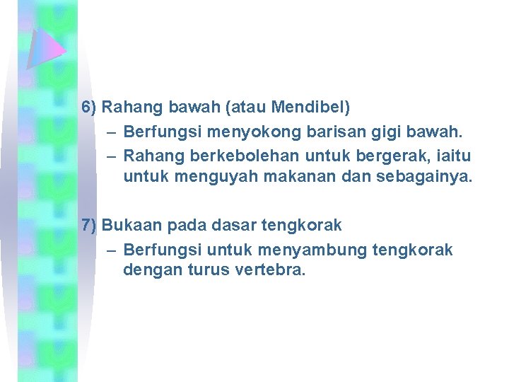 6) Rahang bawah (atau Mendibel) – Berfungsi menyokong barisan gigi bawah. – Rahang berkebolehan