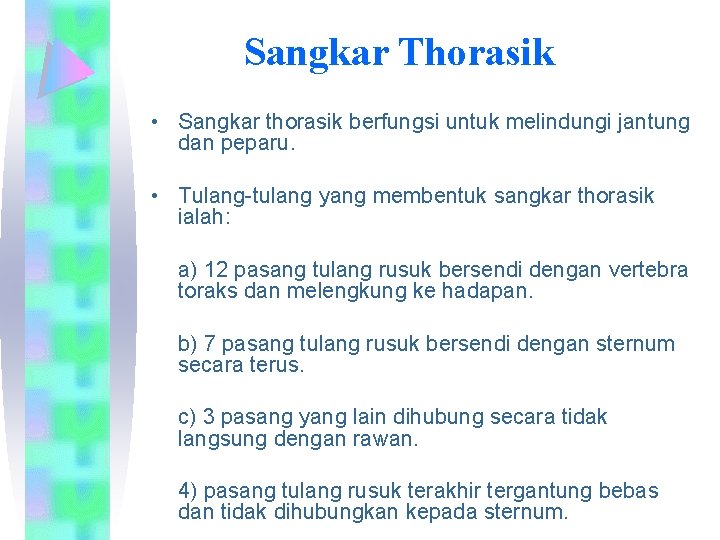 Sangkar Thorasik • Sangkar thorasik berfungsi untuk melindungi jantung dan peparu. • Tulang-tulang yang