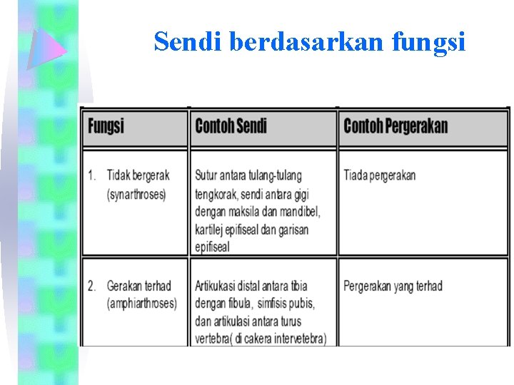 Sendi berdasarkan fungsi 