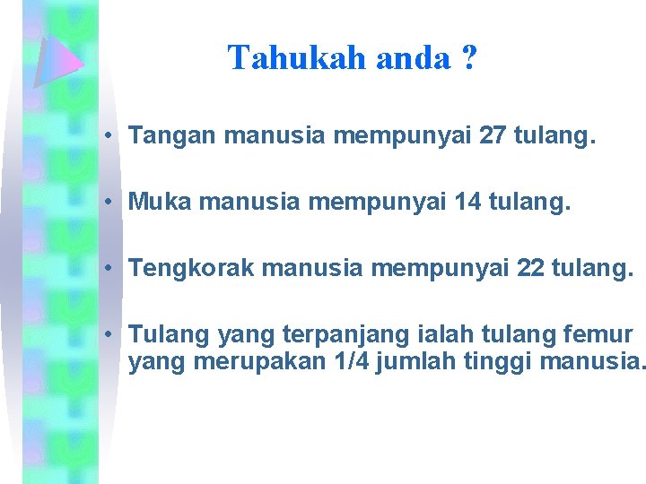 Tahukah anda ? • Tangan manusia mempunyai 27 tulang. • Muka manusia mempunyai 14