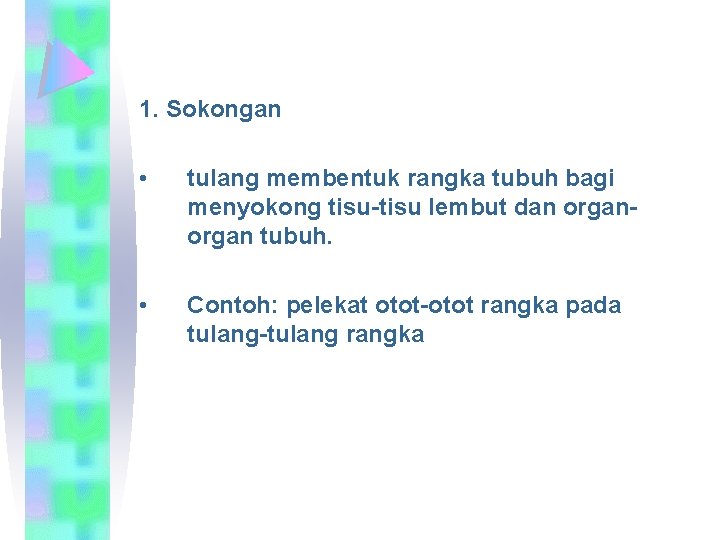 1. Sokongan • tulang membentuk rangka tubuh bagi menyokong tisu-tisu lembut dan organ tubuh.