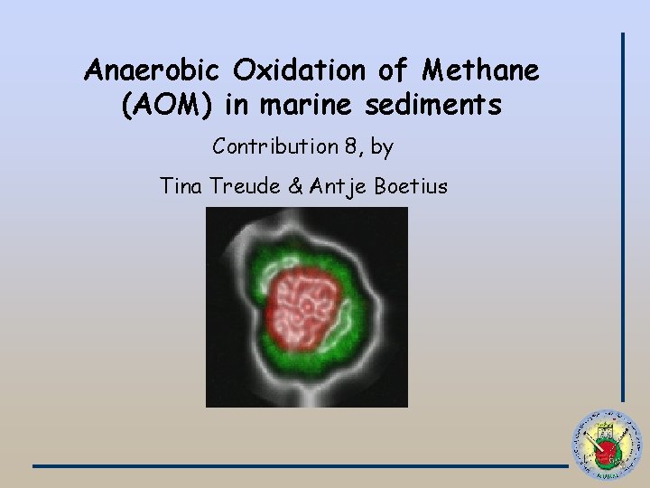 Anaerobic Oxidation of Methane (AOM) in marine sediments Contribution 8, by Tina Treude &