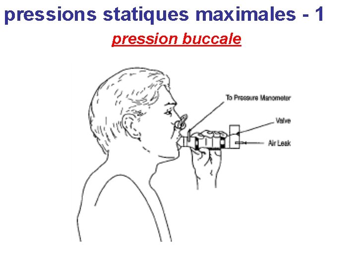 pressions statiques maximales - 1 pression buccale 