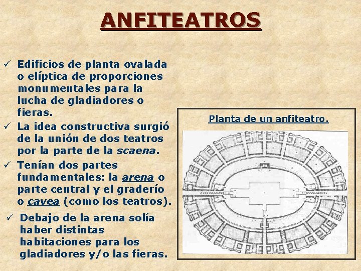 ANFITEATROS ü Edificios de planta ovalada o elíptica de proporciones monumentales para la lucha