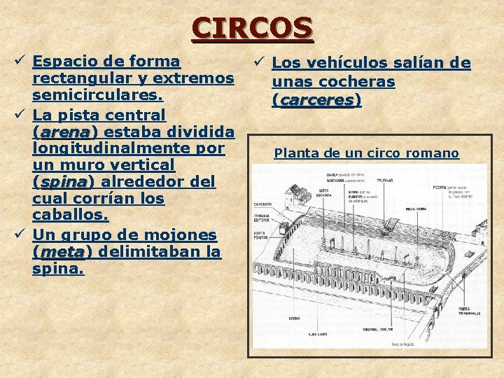 CIRCOS ü Espacio de forma rectangular y extremos semicirculares. ü La pista central (arena)